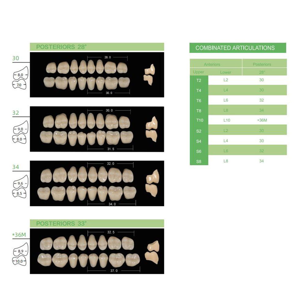 4/12/16sets /box Dental Resin  - Resin Art Case ulasan dan harga