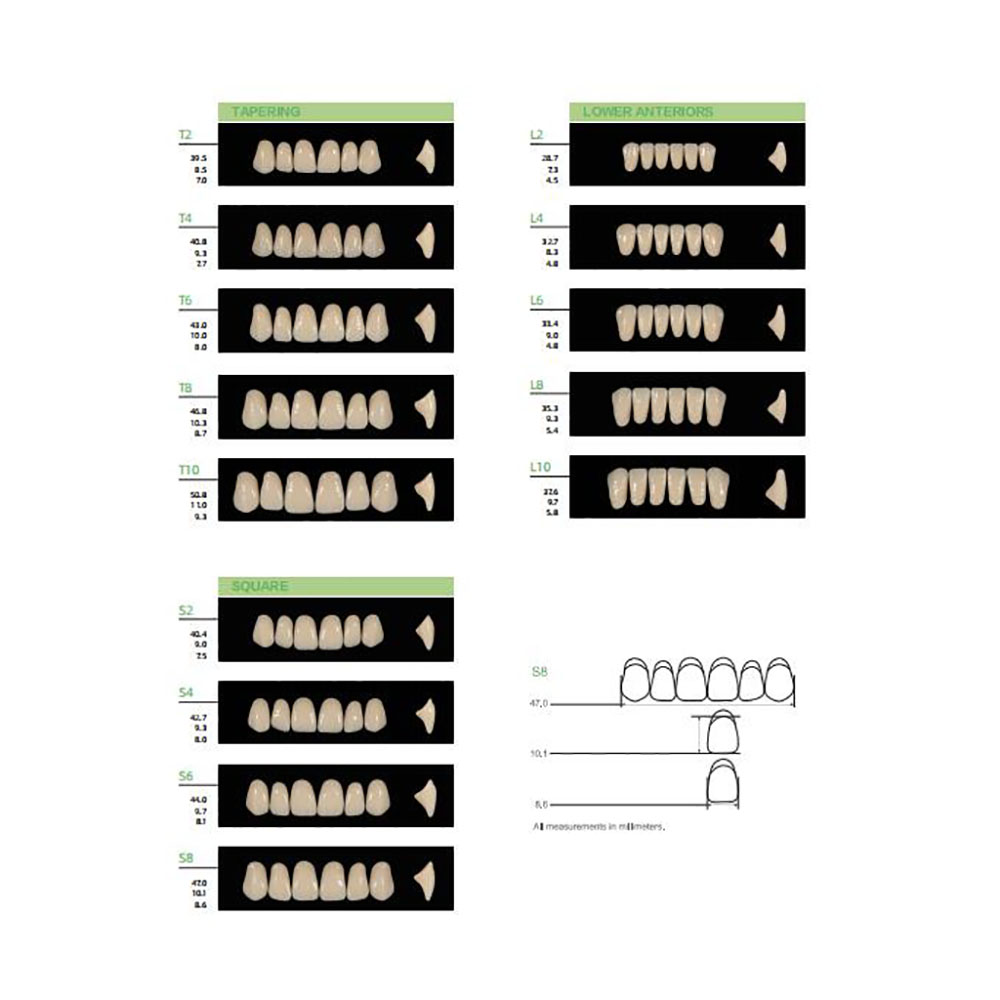 4/12/16sets /box Dental Resin  - Resin Art Case ulasan dan harga