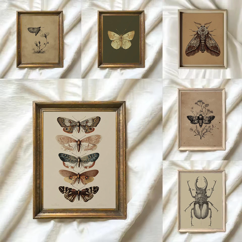 Vintage Insects Moth,Butterfly - Resin Art Home Decor ulasan dan harga